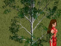 BeautifulPlace_1
