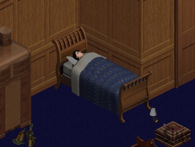 SimsStory2009_052
